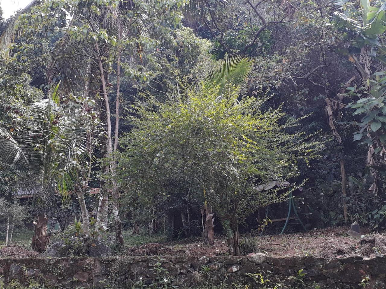 Recanto Da Gipoia أنجرا دوس ريس المظهر الخارجي الصورة